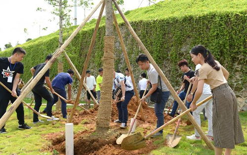 十年樹木，百年樹人——2017屆畢業(yè)生種植紀念樹活動圓滿舉行