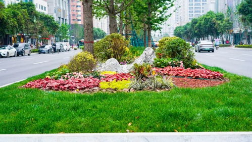 美顏模式再升級，綠滿高新 樹木種植經(jīng)營新篇章